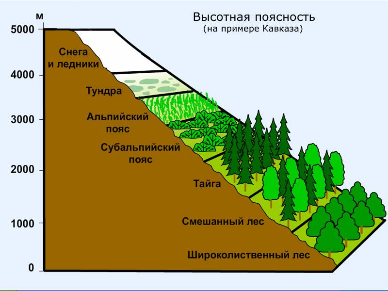 Природные зоны какие бывают